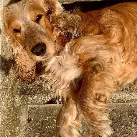 Relais Gozzi Panzió