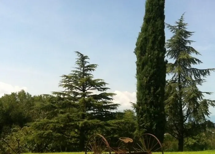 Relais Gozzi Bed & Breakfast Arcugnano