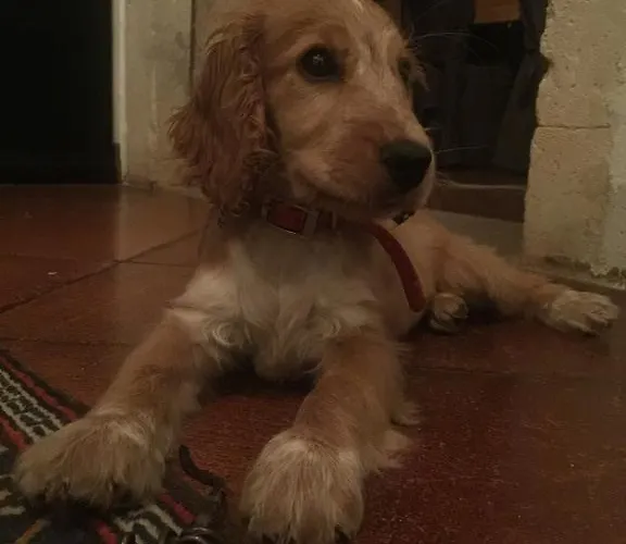 Bed & Breakfast Relais Gozzi