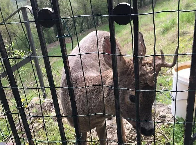 Relais Gozzi 2* 아르쿠그나노