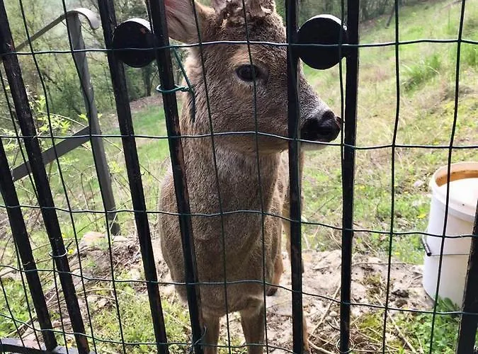 Bed & Breakfast Relais Gozzi Arcugnano