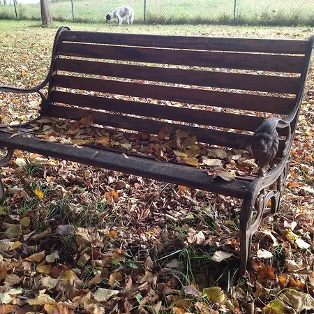 Bed & Breakfast Relais Gozzi 2*