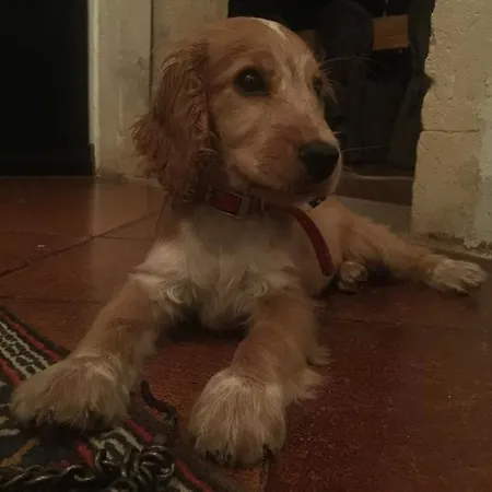 فندق مبيت وإفطار Relais Gozzi