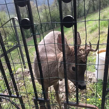 Relais Gozzi 2* Arcugnano