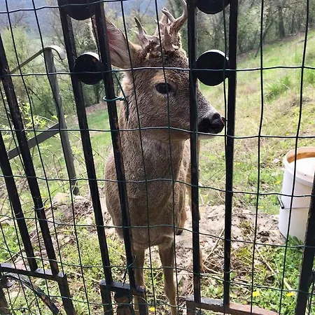 Bed & Breakfast Relais Gozzi Arcugnano